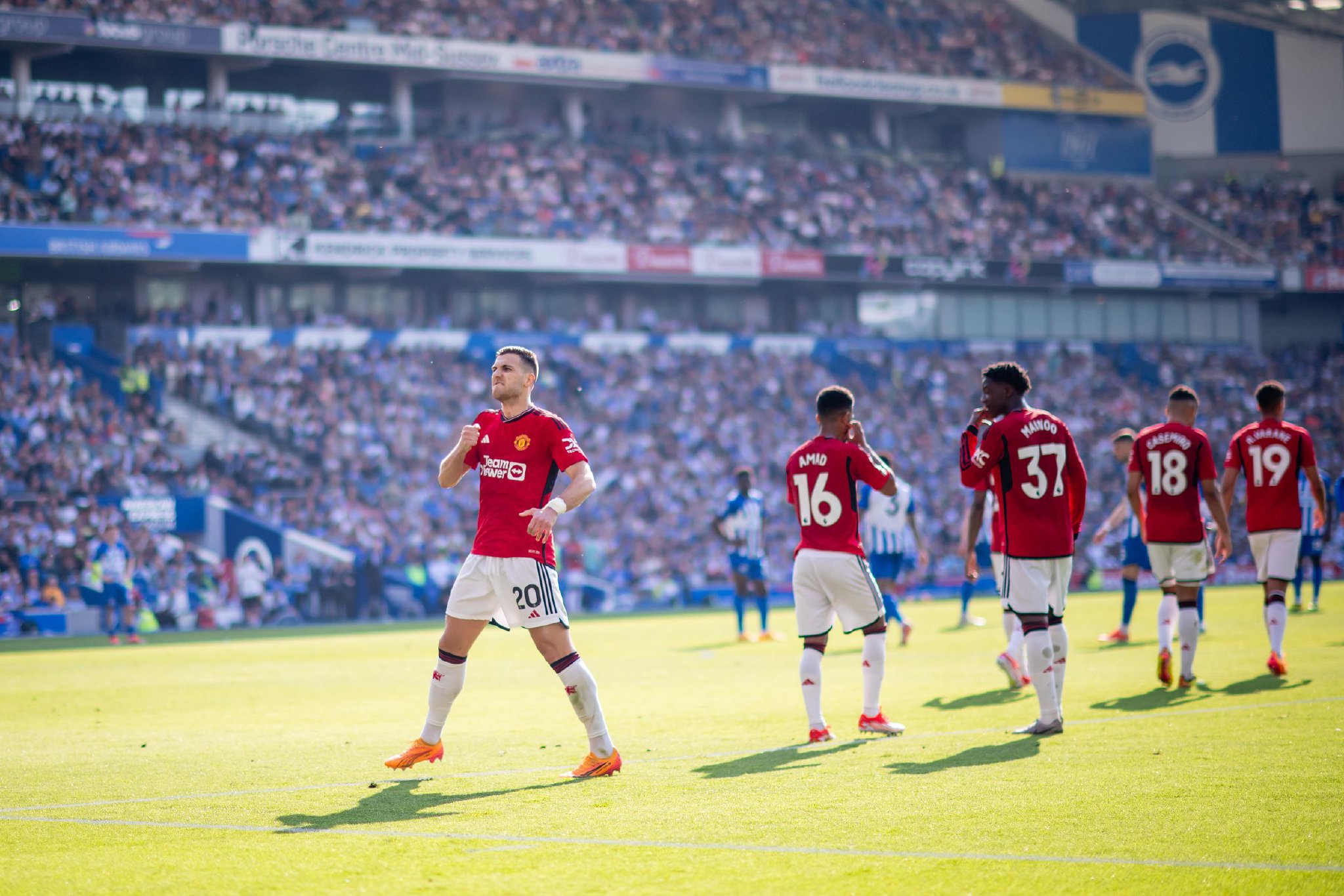 品味多元的 品味多元的