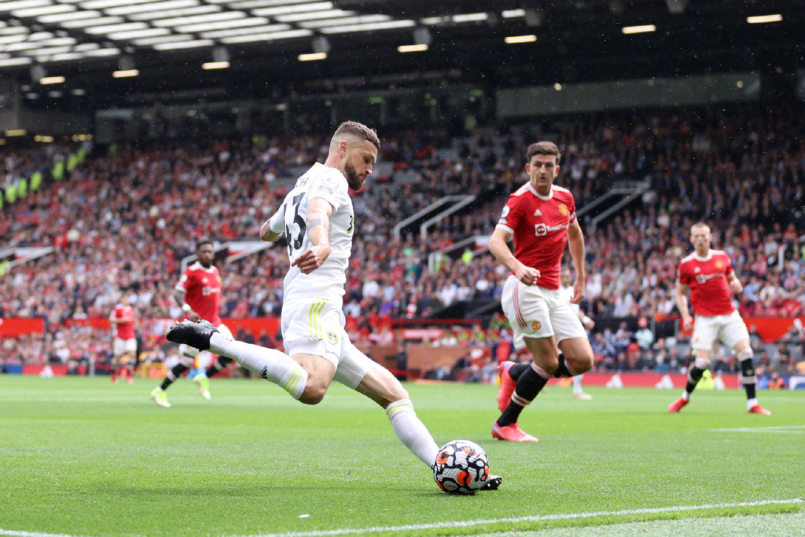 的悲痛和无 的悲痛和无